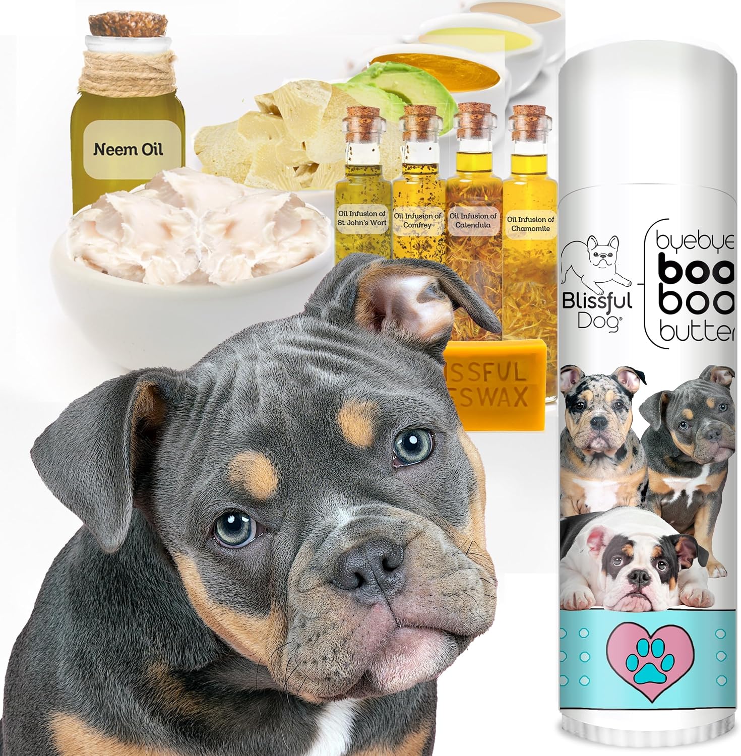 The Blissful Dog Olde English Bulldogge Booboo Butter – 0.50 oz (14 g) Tube - görsel 2