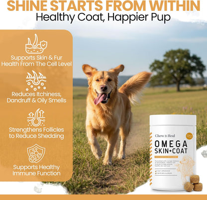 Omega-3 Fish Oil for Dogs - 180 Soft Chews for Itch Relief, Shedding & Hot Spots - Skin and Coat Supplement - Salmon Oil, EPA & DHA - Allergy Chews - Made in USA - Chew + Heal