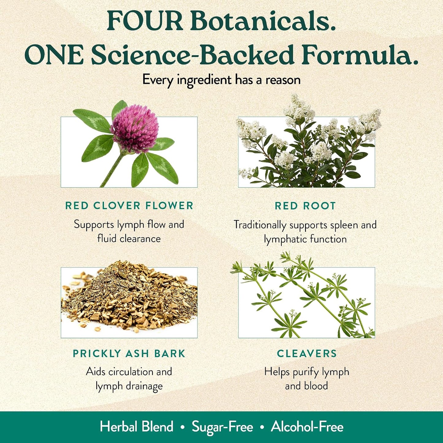 Nature's Sunshine Lymphatic Drainage Drops - görsel 3