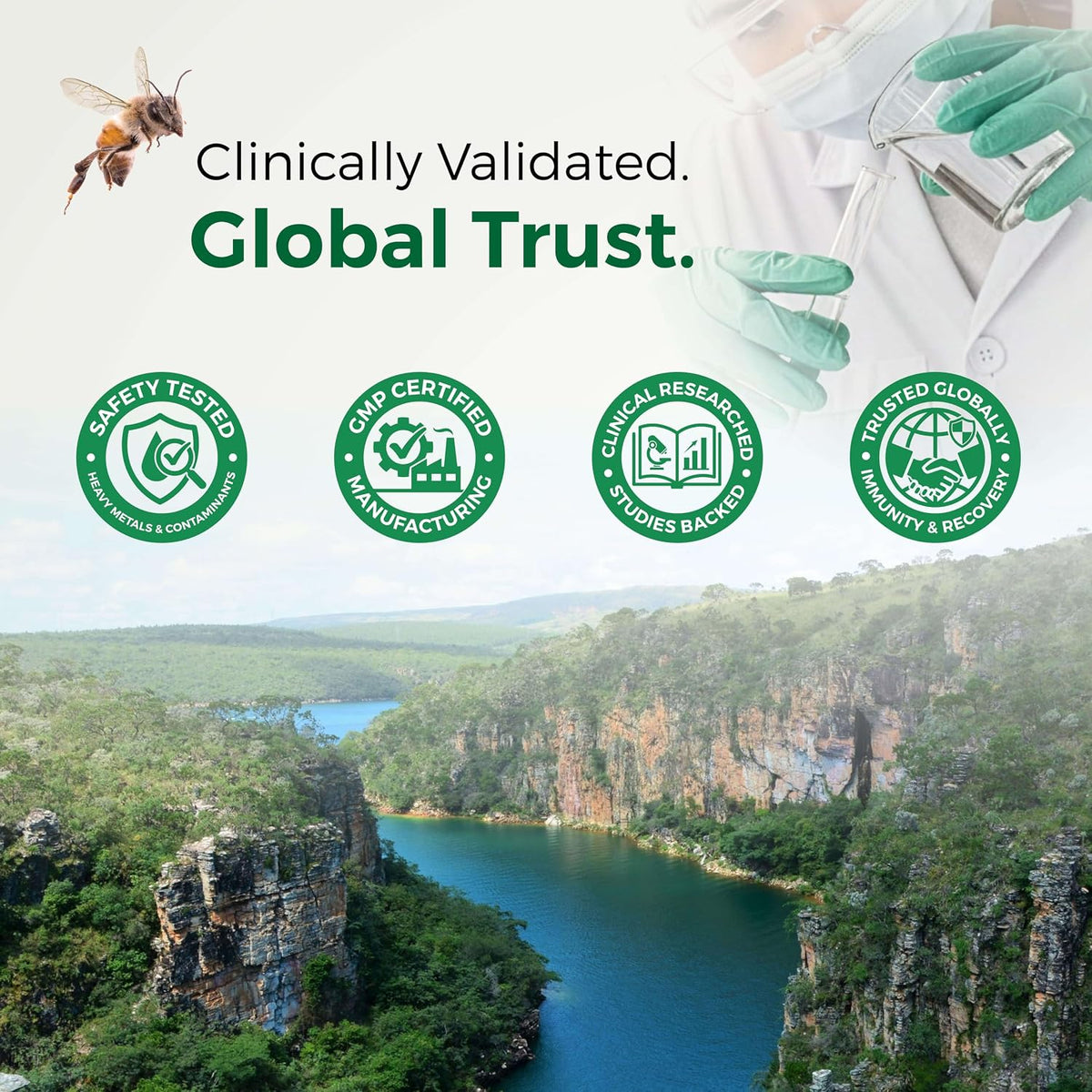 LABO Nutrition Brazilian Green Propolis Ultimate 3-Pack – 180 Vegan Capsules - görsel 9