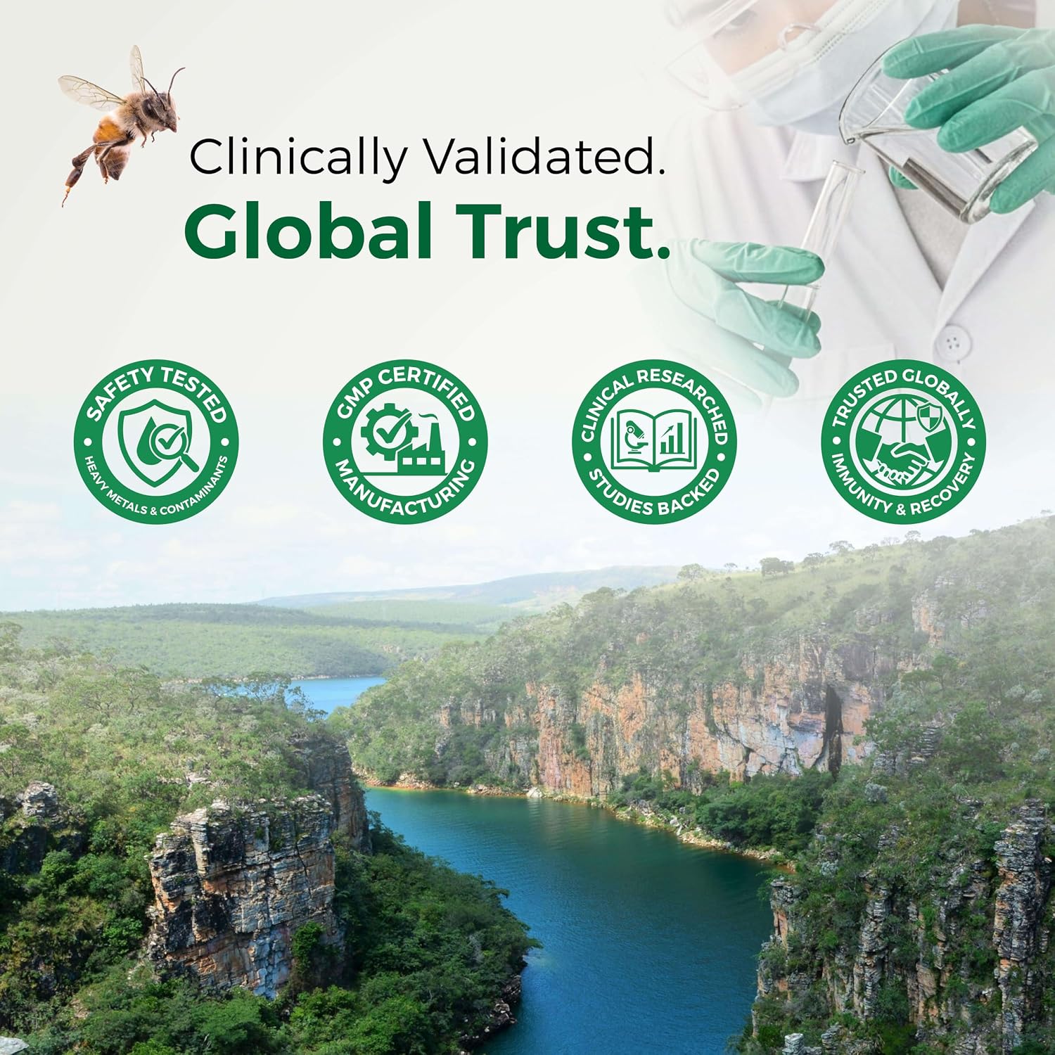 LABO Nutrition Brazilian Green Propolis 3-Pack (180 Capsules) - görsel 9
