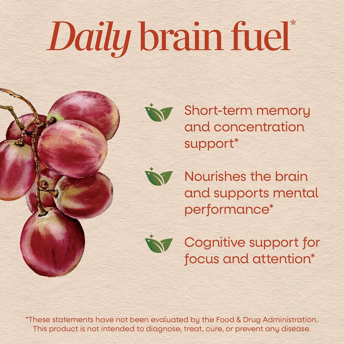 Nature's Way Brain Fuel Gummies – Cognitive Support with COGNIGRAPE and Vitamins B6 & B12 (60 Gummies) - görsel 3