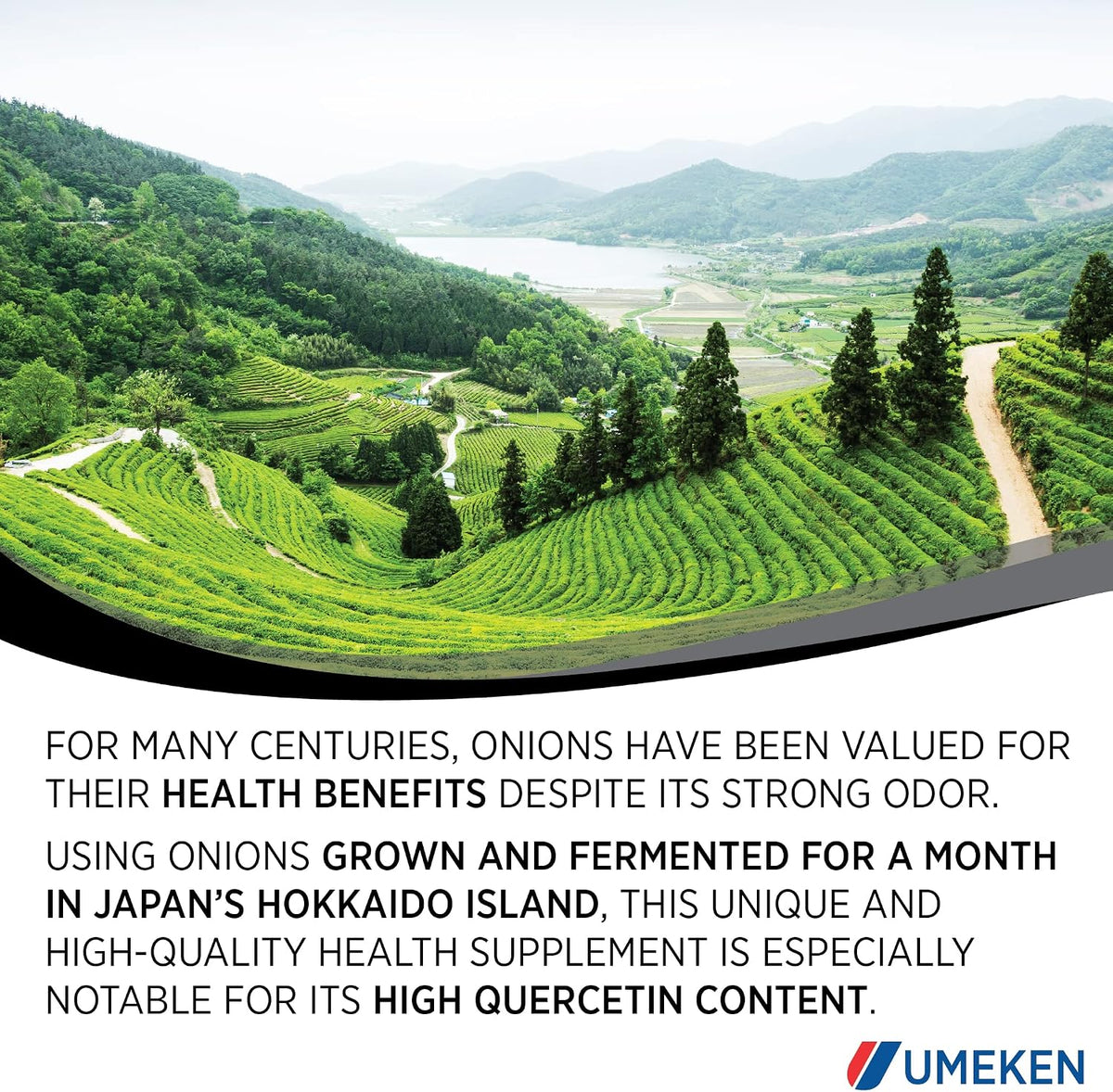 Umeken Black Onion - Fermented Concentrate with Quercetin, Antioxidant Food Supplement, 1333 Tablets (2 Pack) - görsel 7