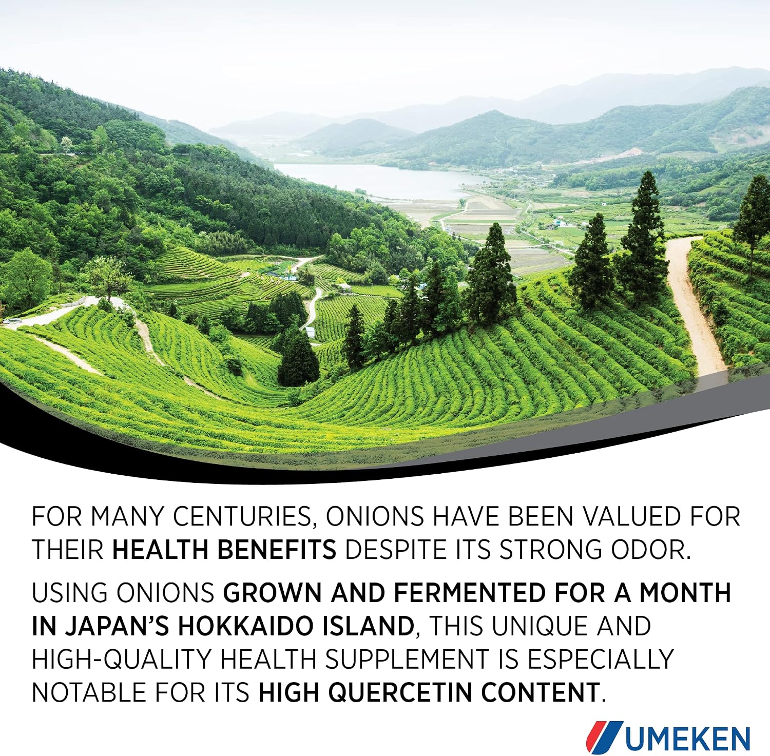 Umeken Black Onion - Fermented Concentrate with Quercetin, Antioxidant Food Supplement, 1333 Tablets (2 Pack) - görsel 7