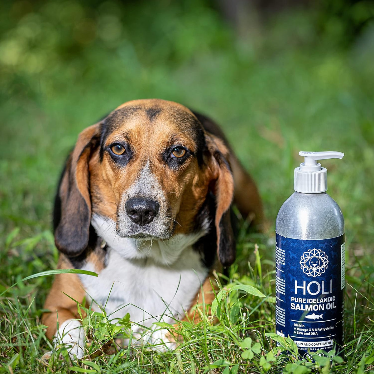 HOLI Salmon Oil for Dogs and Cats Skin & Coat | Icelandic Fish Oil | Omega 3 EPA + DHA Liquid Supplement - görsel 7