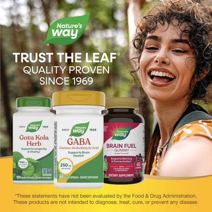 Nature's Way GABA, 250 mg, 60 Vegan Capsules - Brain Health Support