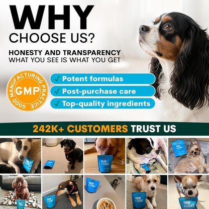 Petz Park Dog Skin and Coat Supplement – 90 Scoops, Omega‑3 for Dogs