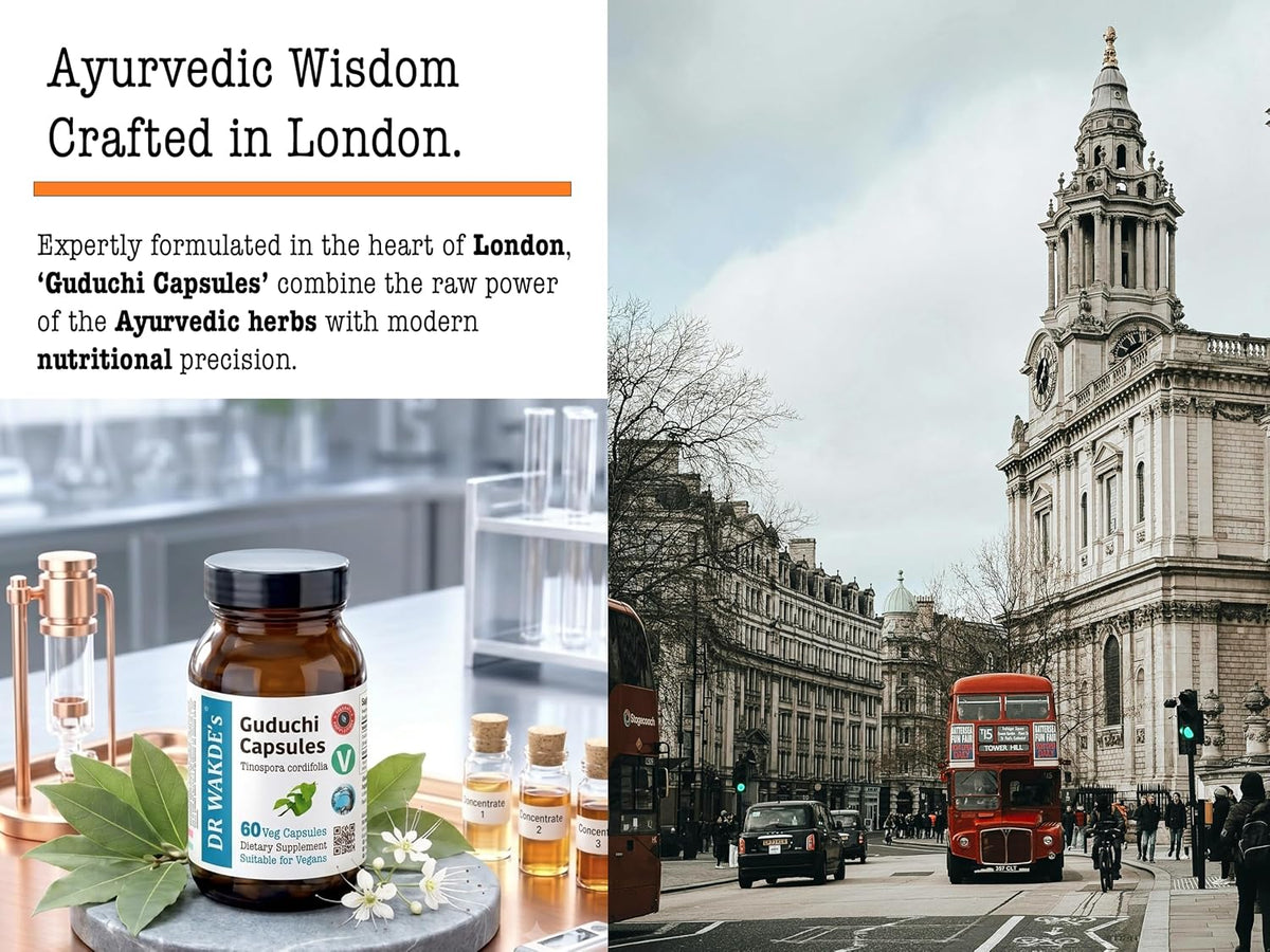 DR WAKDE's Guduchi Capsules (Tinospora cordifolia, 60 Veg Caps, Plant-Based Supplement, Ayurvedic Herb, All Natural, Vegan) - görsel 9