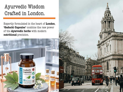 DR WAKDE's Guduchi Capsules (Tinospora cordifolia, 60 Veg Caps, Plant-Based Supplement, Ayurvedic Herb, All Natural, Vegan)