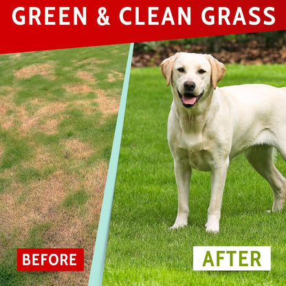 PAWFECTCHEW Dog Pee Grass Helper - Urine Neutraliser for Lawn Burn Spots - 120 Soft Chews