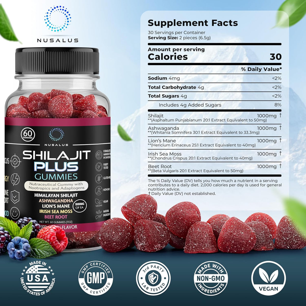 Nusalus Shilajit Plus Gummies – 5-in-1 Adaptogen Energy & Focus Supplement (60 Count) - görsel 7