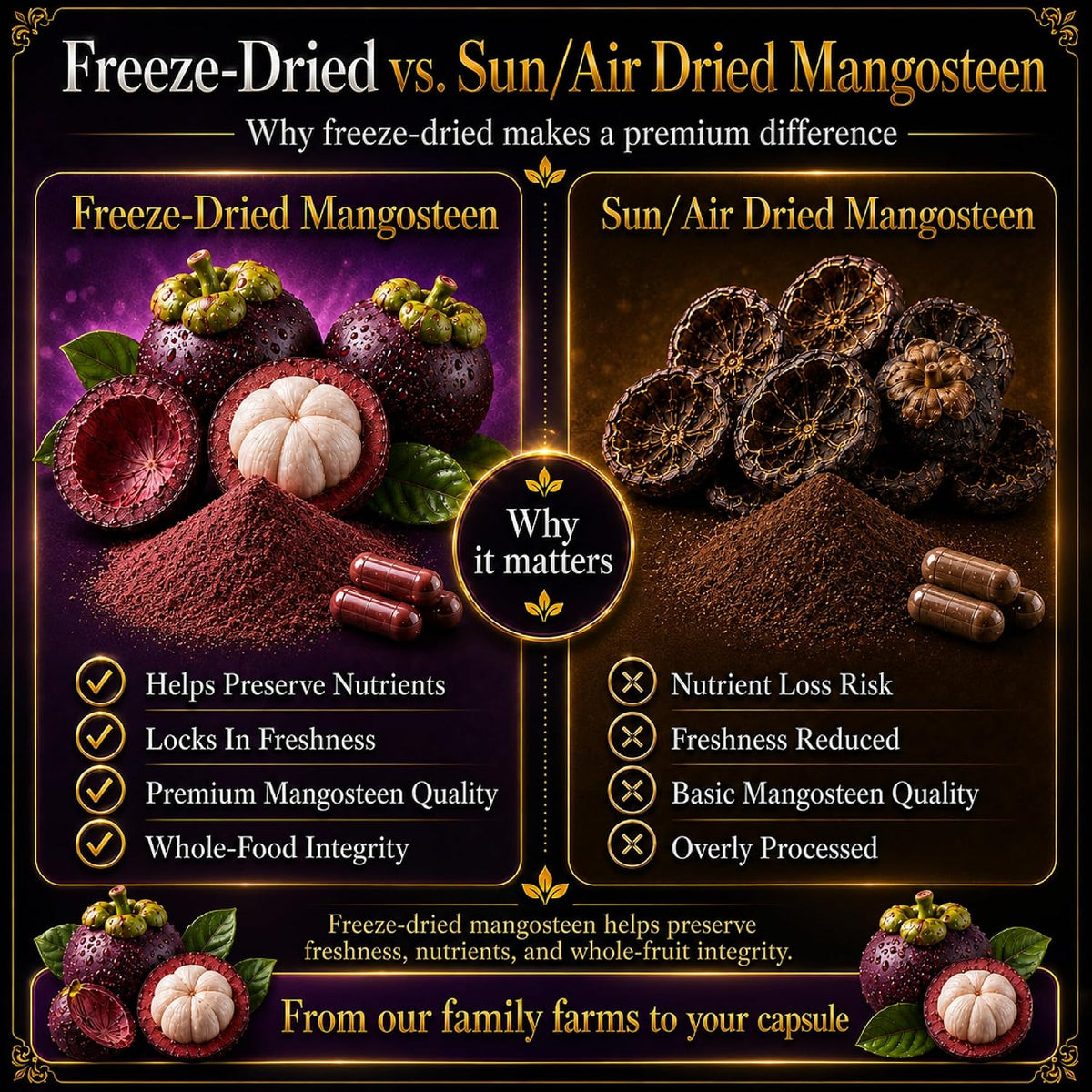 Mangosteen Food Supplement Capsules – Freeze-Dried Pericarp Powder, 515 mg, 480 Vegan Capsules - görsel 6