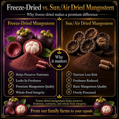 Mangosteen Food Supplement Capsules – Freeze-Dried Pericarp Powder, 515 mg, 480 Vegan Capsules