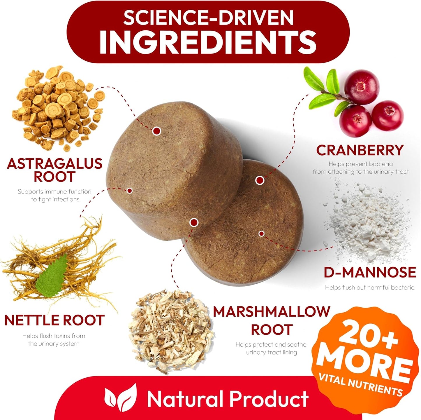 Petsology Dog UTI Treatment - 170 Cranberry Chews for Dogs - Urinary & Bladder Health Multivitamin with D-Mannose - görsel 3