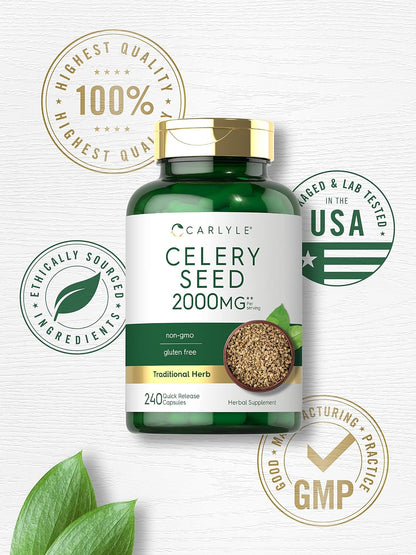 Carlyle Celery Seed Extract Capsules | 240 Count | Traditional Herbal Supplement | Non-GMO and Gluten-free Formula