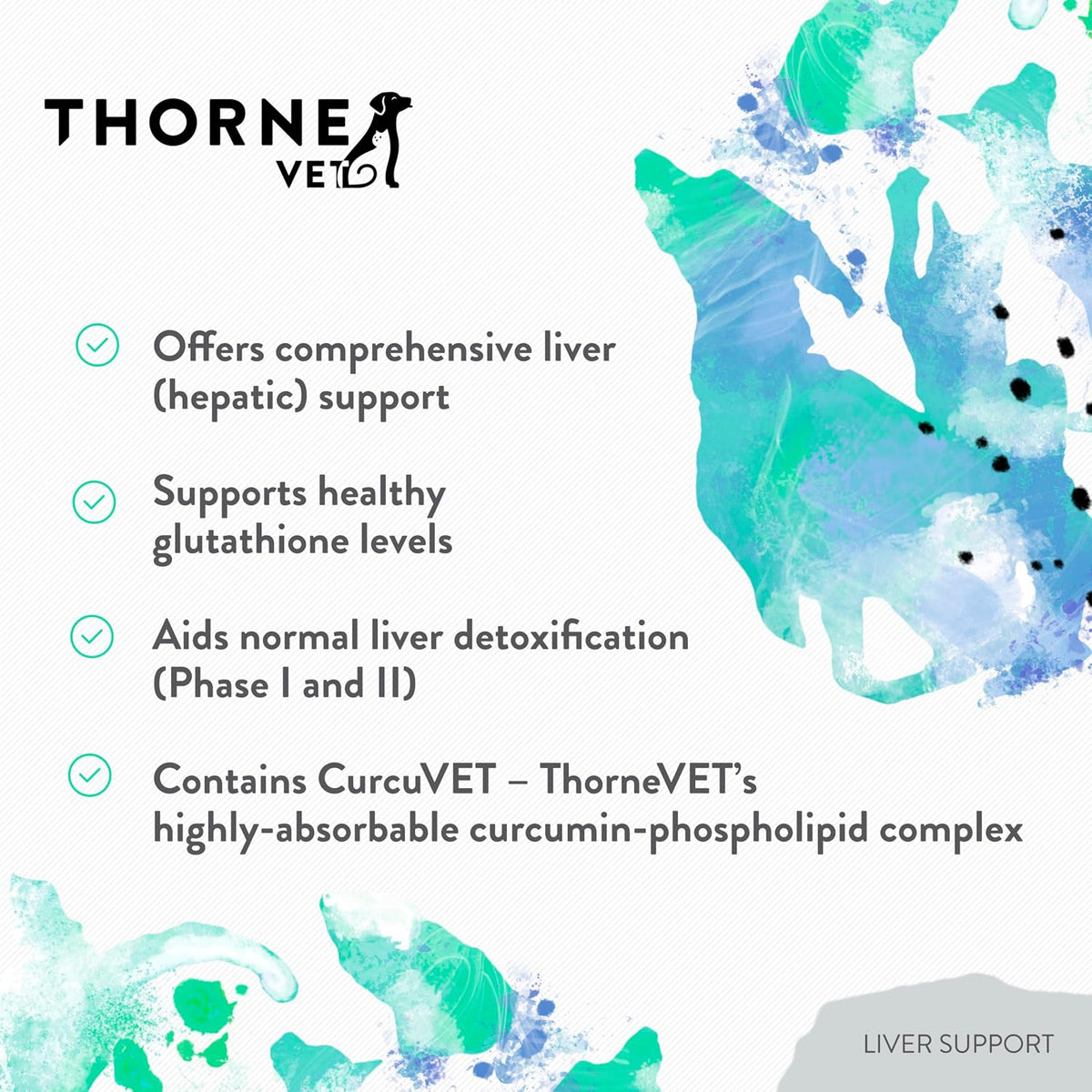 ThorneVET Liver Support Powder – Liver Support for Small Animals: Dogs & Cats, 90 Scoops - görsel 4
