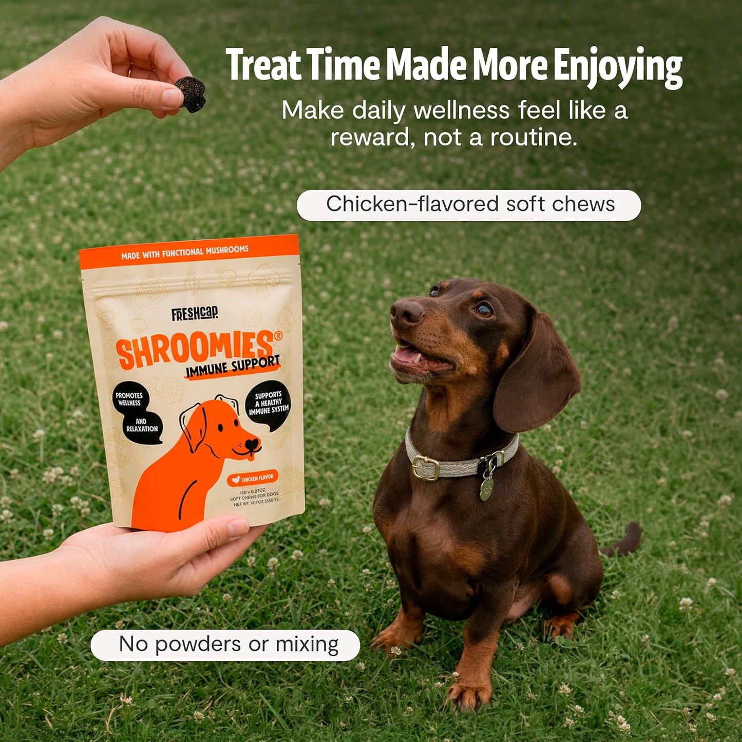 FreshCap Shroomies 13-in-1 Mushroom Supplement for Dogs (180 Soft Chews) - görsel 9