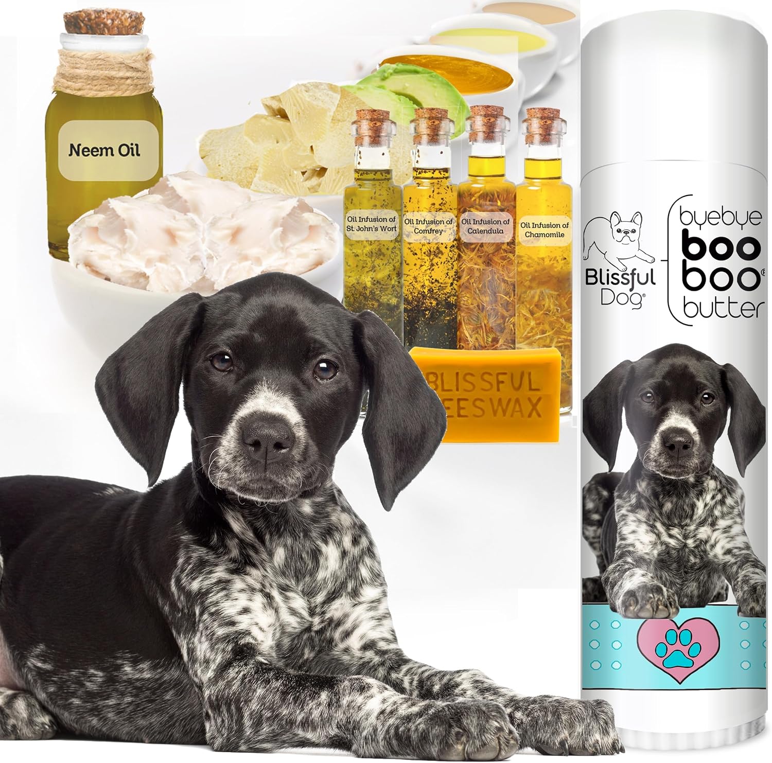 The Blissful Dog 14 g Tube German Shorthaired Pointer Booboo Butter - görsel 2