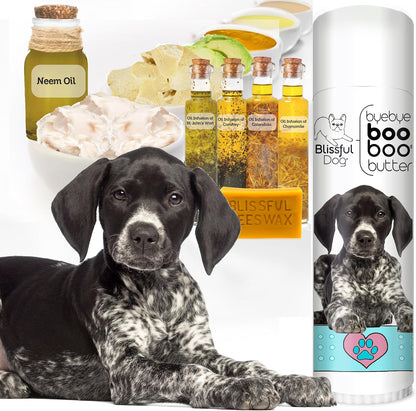 The Blissful Dog 14 g Tube German Shorthaired Pointer Booboo Butter