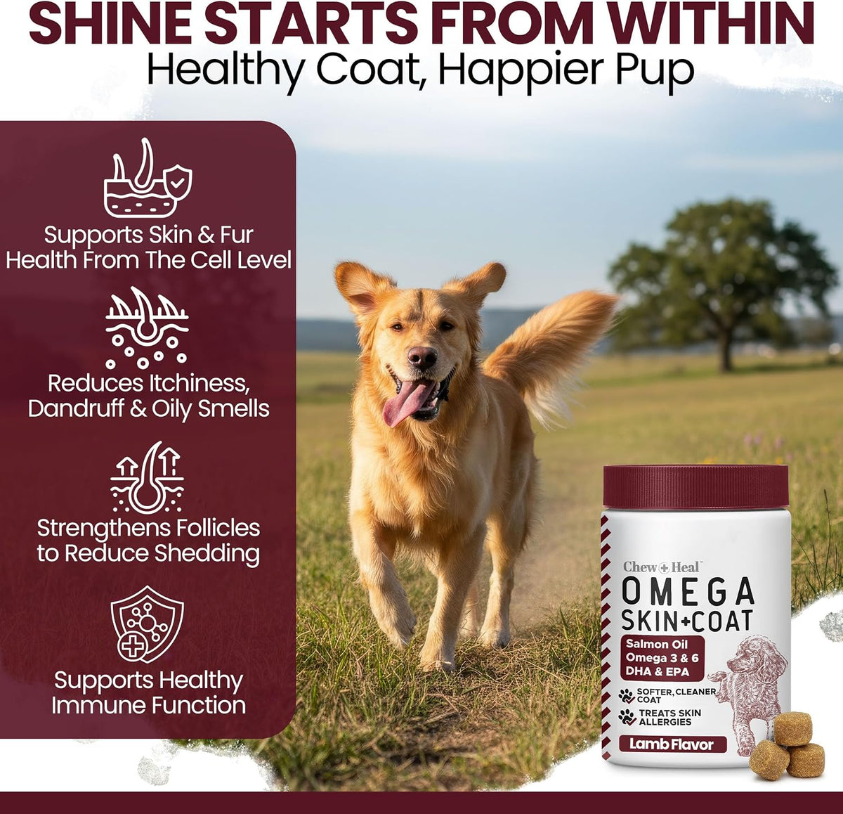 Salmon Oil for Dogs – Soft Chews with Omega-3 & 6, Vitamins, and Minerals (180 Chews, Lamb Flavour) - görsel 3