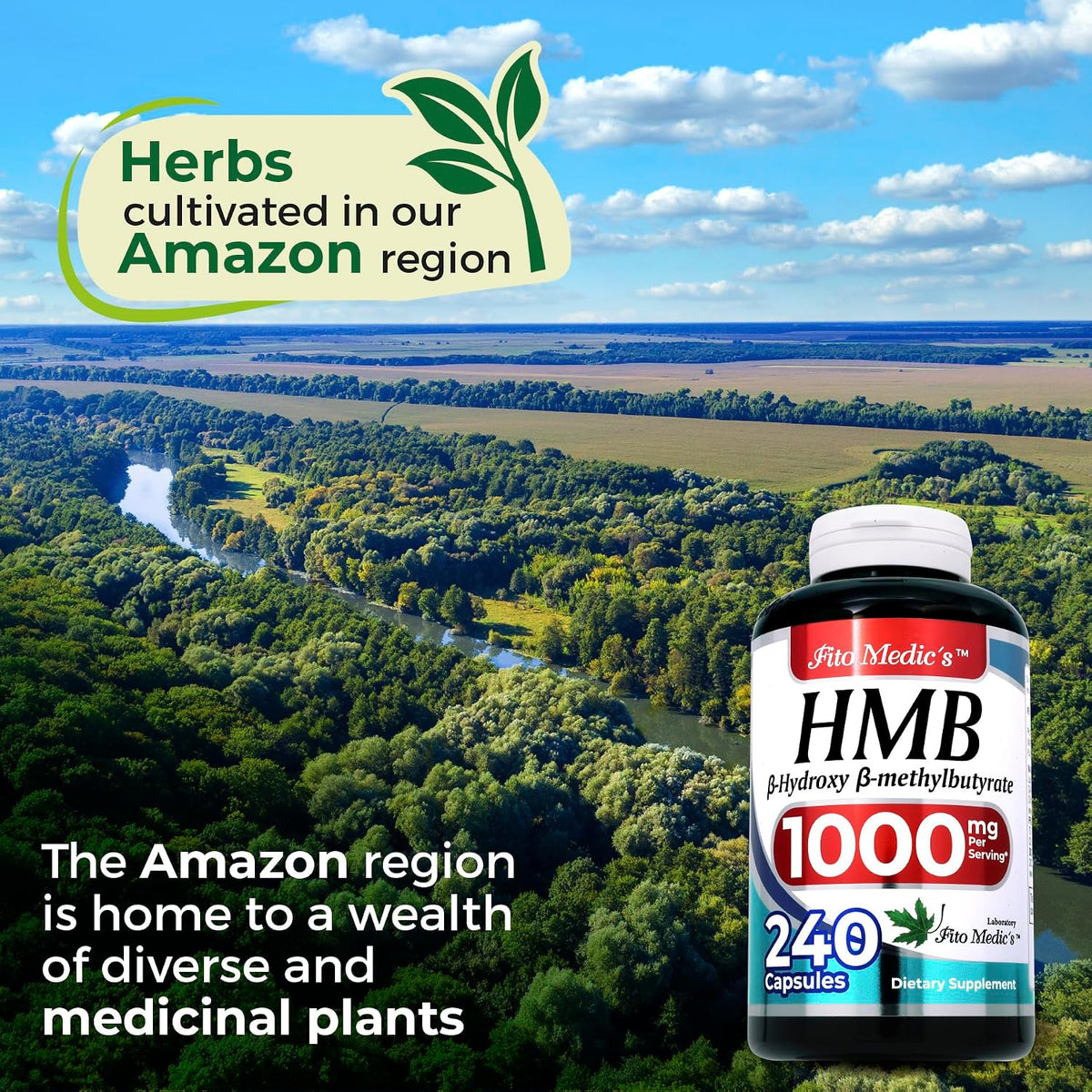 FITO MEDIC'S Lab HMB Supplement - 240 Capsules, 1000 mg Free Acid, Ultra-High Absorption - görsel 6