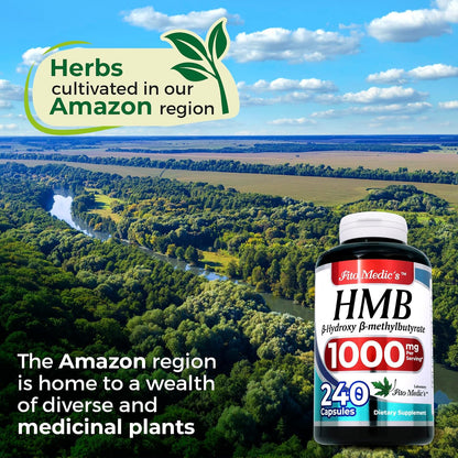 FITO MEDIC'S Lab HMB Food Supplement - 240 Capsules, 1000 mg Free Acid, Ultra High Absorption