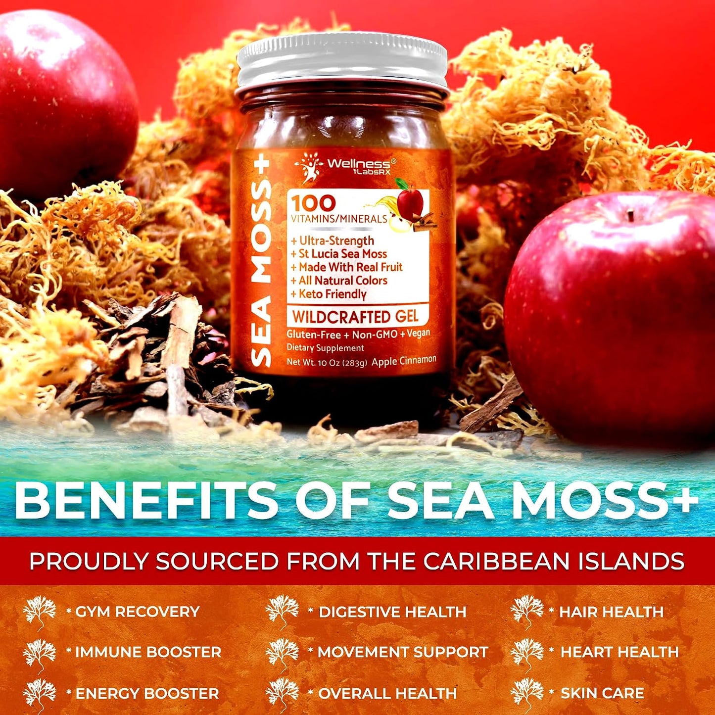 Irish Sea Moss Gel Raw - Wildcrafted Superfood - Apple Cinnamon Flavour - 283 g - görsel 6