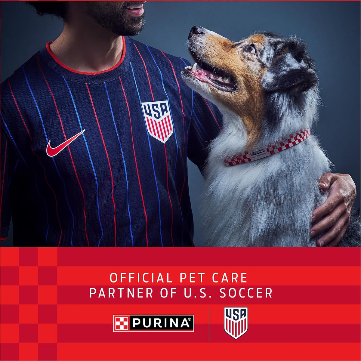 Purina Pro Plan Veterinary Supplements FortiFlora Probiotic Powder for Dogs, 30 Sachets - görsel 2