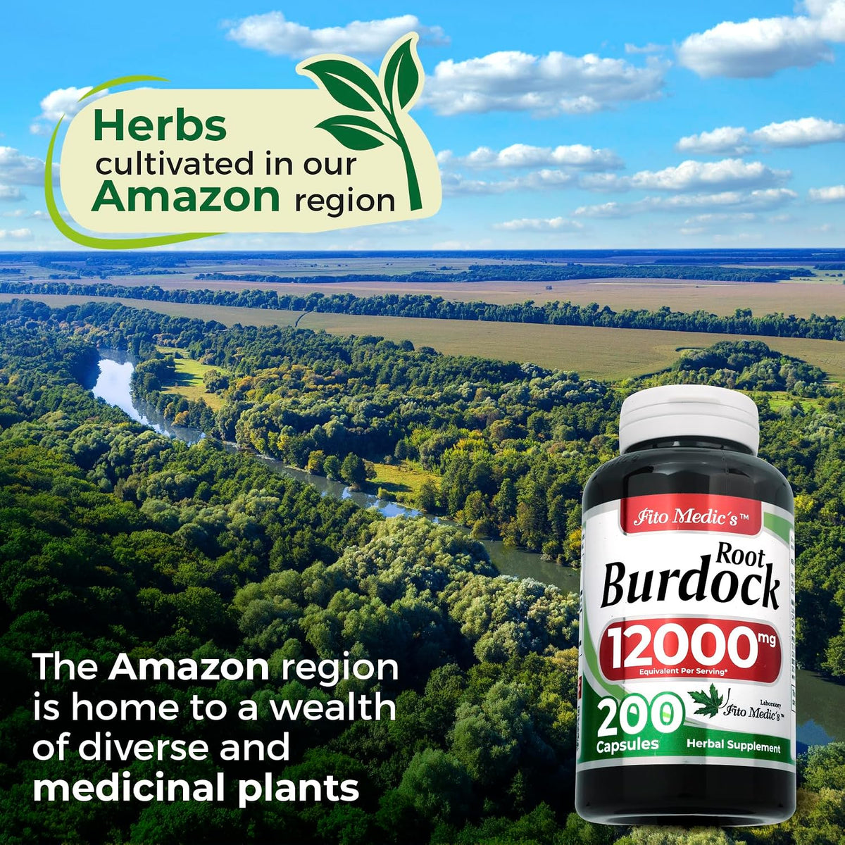 FITO MEDIC'S Lab Organic Burdock Root - 200 Capsules, 12000mg, Ultra High Absorption - görsel 4