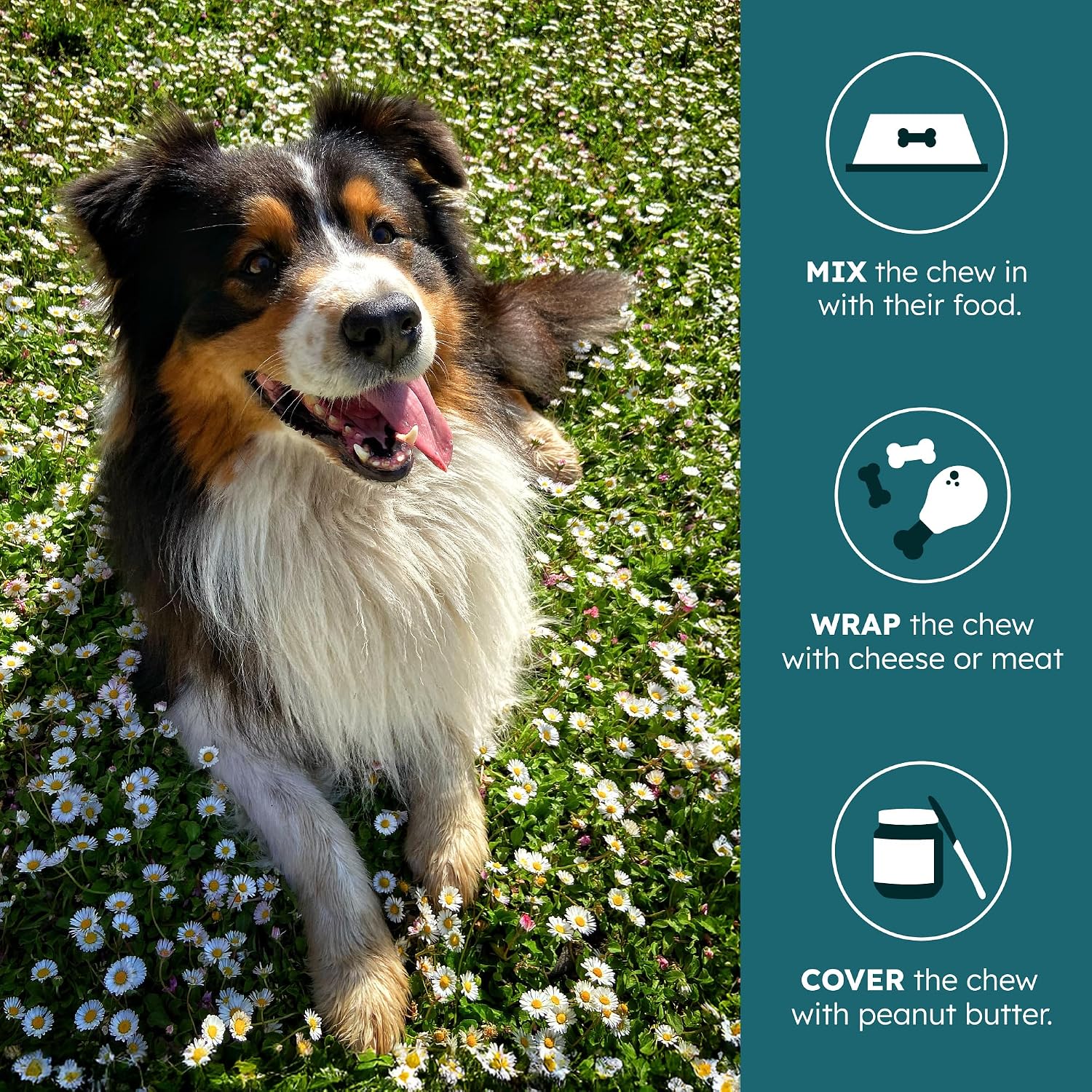 PetHeal Kidney Guard Chews for Dogs - Vet-Reviewed Renal Support with Astragalus, Cordyceps, Dong Quai & Rehmannia - 30 Soft Chews, Pork Flavour - görsel 6