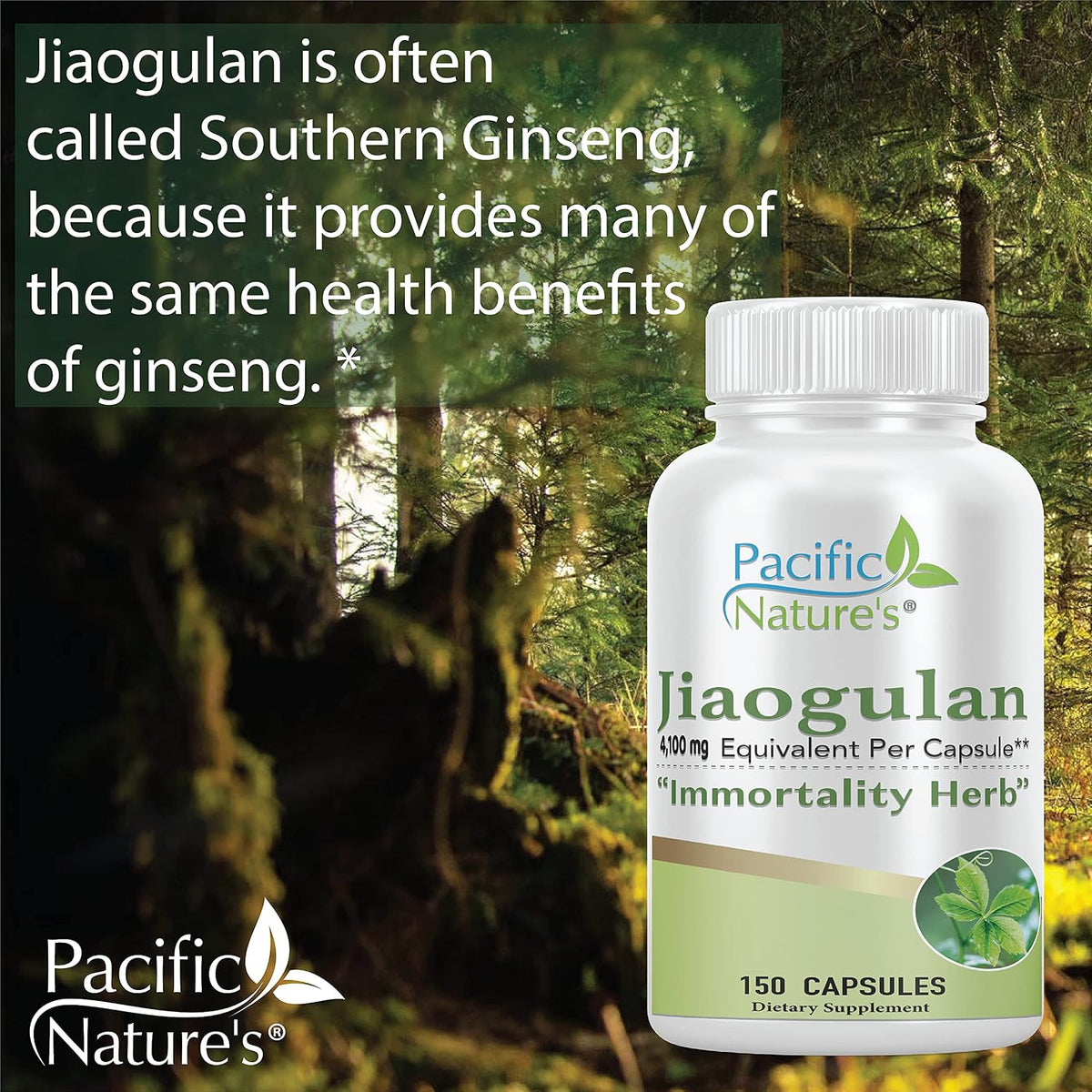 Pacific Nature's Jiaogulan Herbal Supplement (150 Capsules) 4100mg Gynostemma Pentaphyllum Extract (Standardised 10:1) - Gluten-free, Non-GM - görsel 6