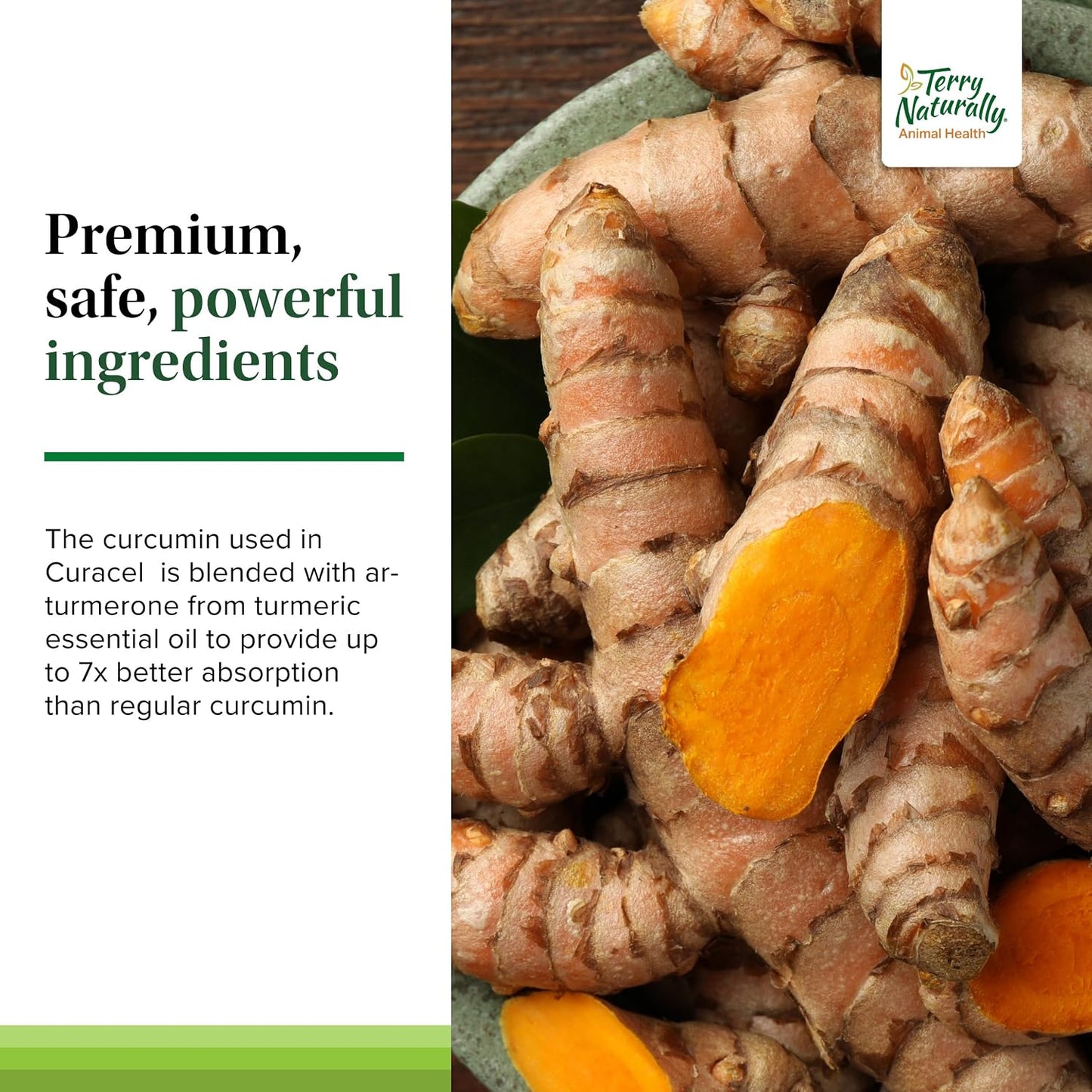 Terry Naturally Curacel Curcumin for Dogs – Cell Protection Supplement with Antioxidants – 60 Softgels - görsel 5
