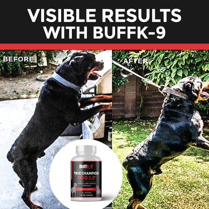 True Champ 2.0 Muscle Support Supplement for Dogs – Canine Wellness Capsules (30 Veg Capsules)