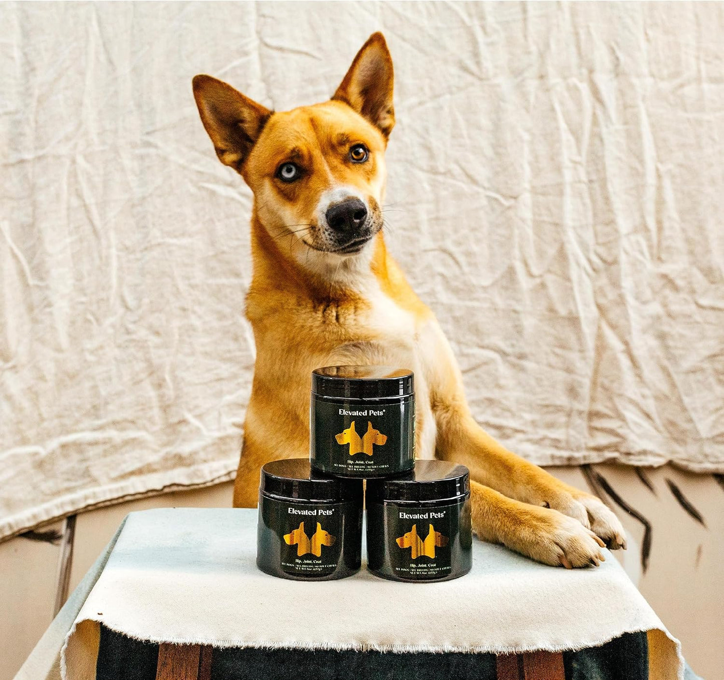 Elevated Pets Ultra-Healthy Omega-3 Fish Oil Chews for Dogs - Joint, Skin & Coat Support with Glucosamine, MSM, Turmeric - görsel 7