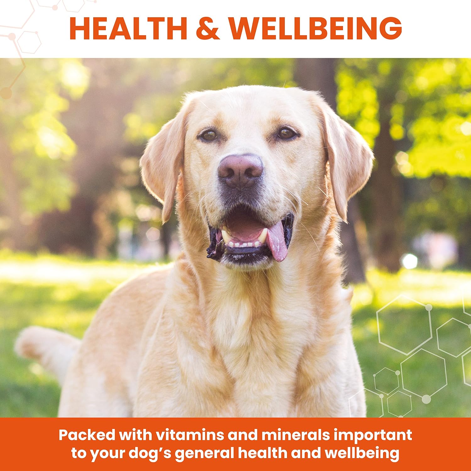 Vetzyme Conditioning Tablets, 500 Tablets - görsel 4