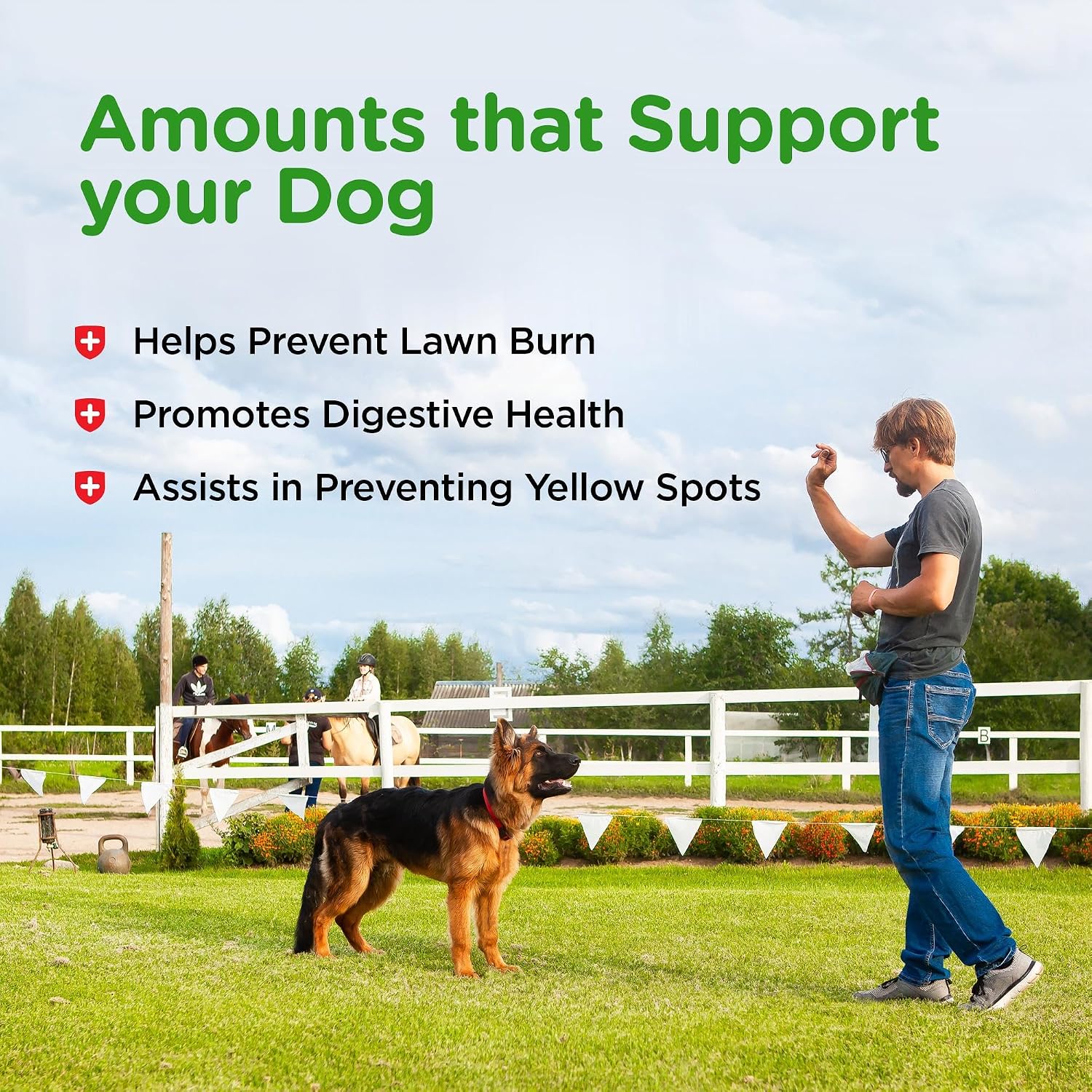 Nutri-Vet Grass Guard Chewables for Dogs, 150 Count - görsel 5
