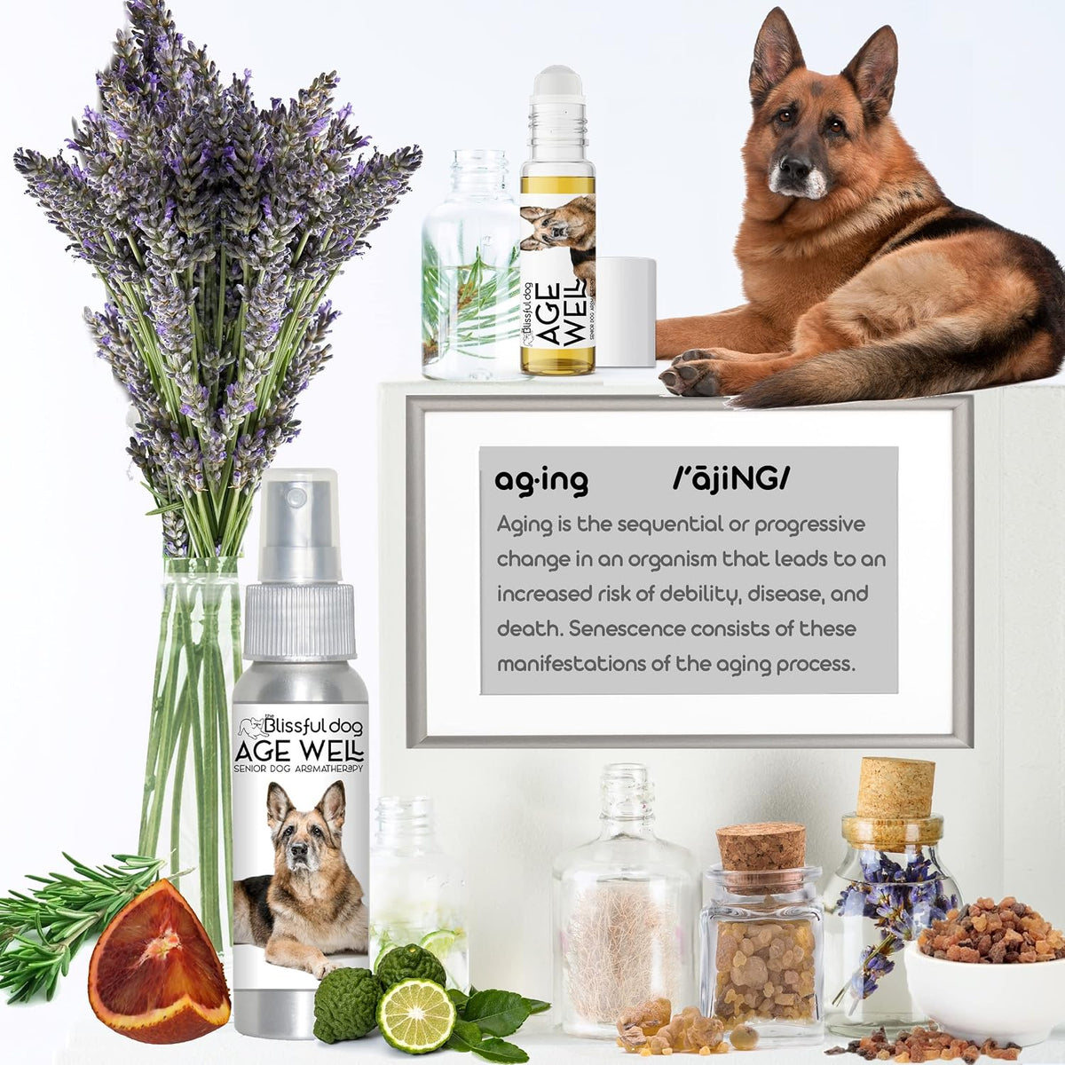 The Blissful Dog German Shepherd Age Well Spray Aromatherapy - görsel 2