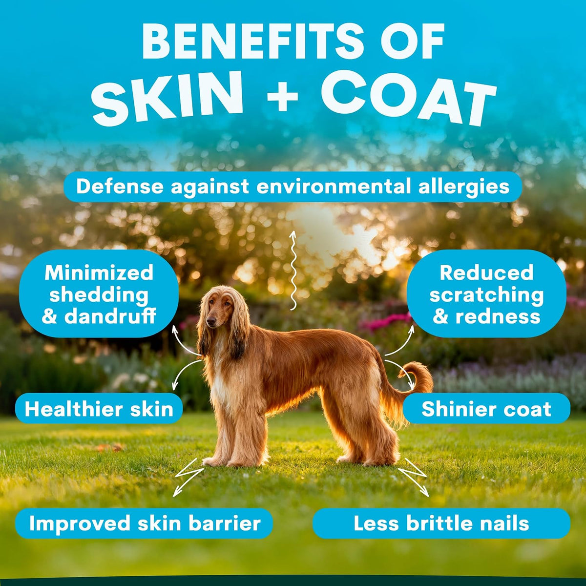 Petz Park Dog Skin and Coat Supplement – 90 Scoops, Omega‑3 for Dogs - görsel 2