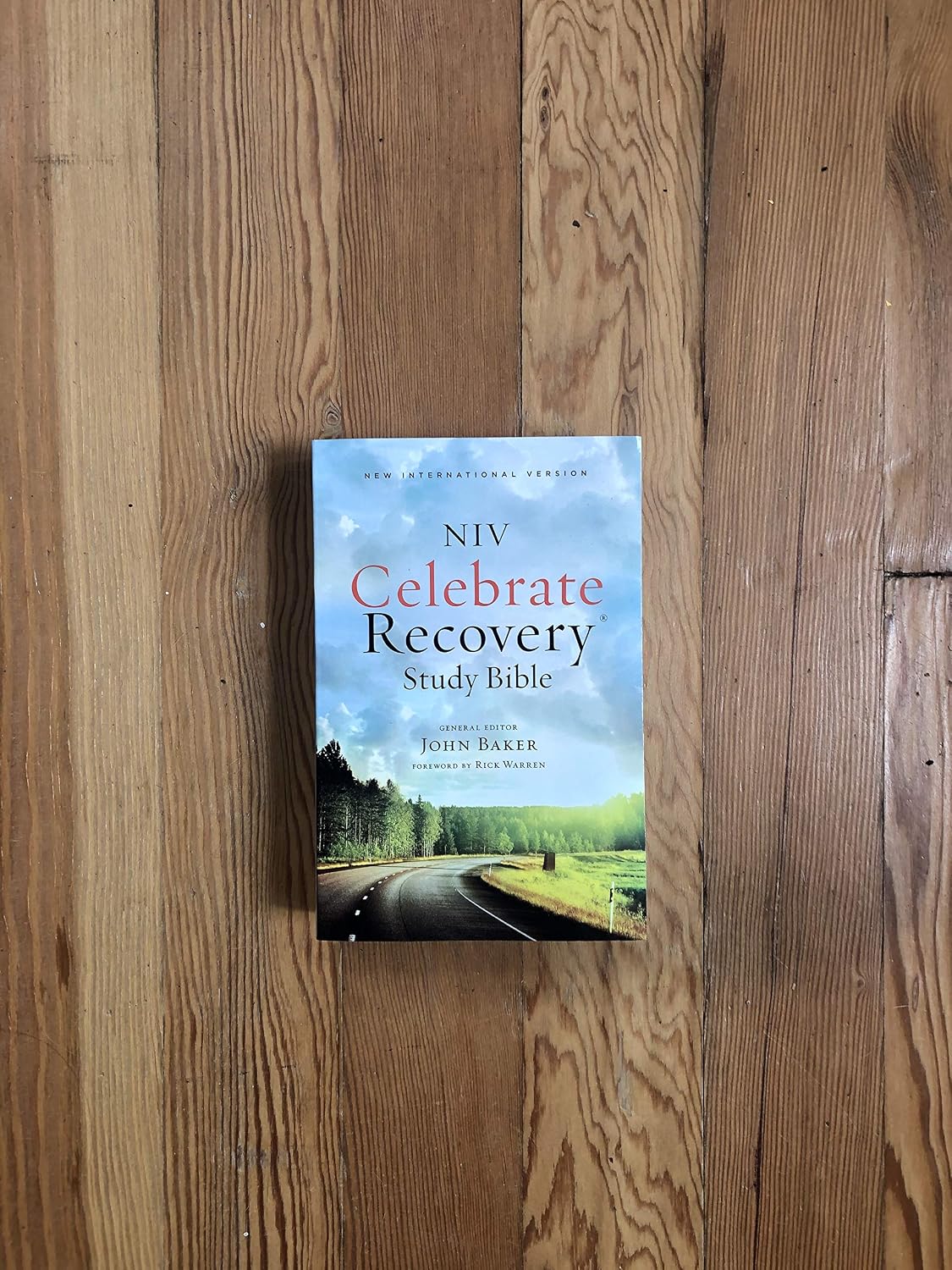 NIV, Celebrate Recovery Study Bible - görsel 3