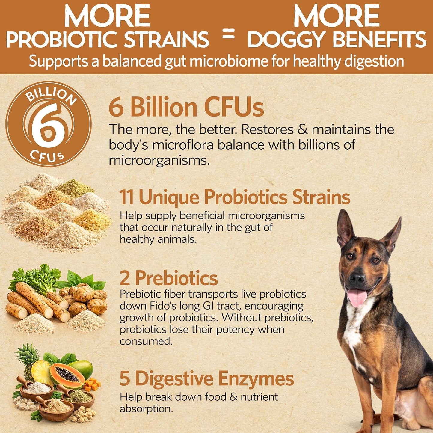 Fidobiotics Good Guts Probiotics for Dogs – Digestive Health Powder, 6 Billion CFU - görsel 3