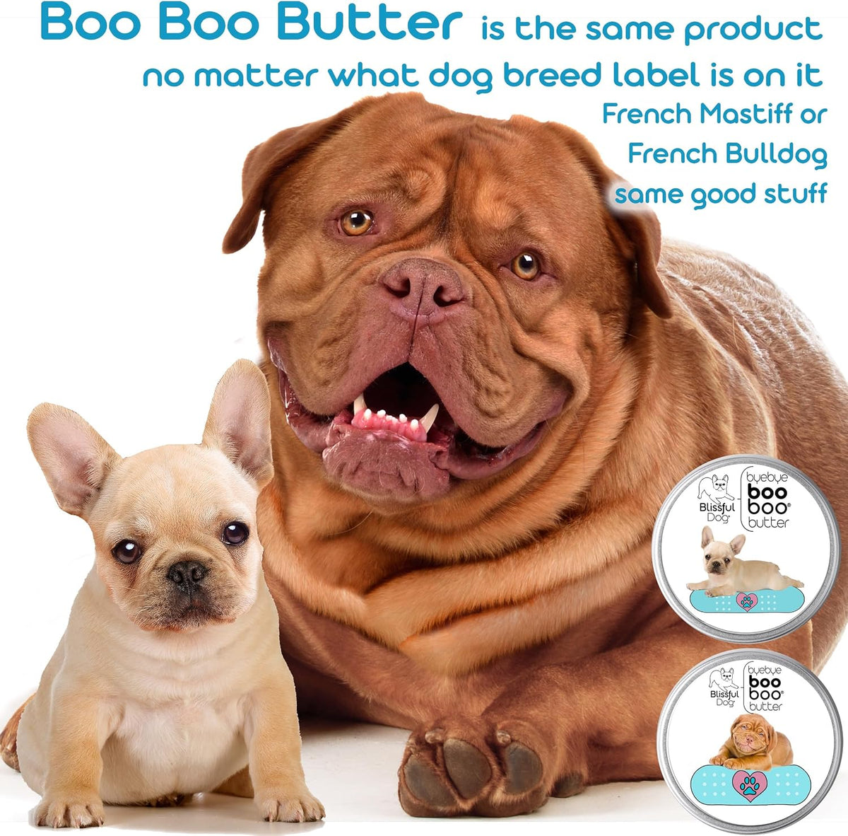 The Blissful Dog Dachshund Booboo Butter (28 g Tin) - görsel 5