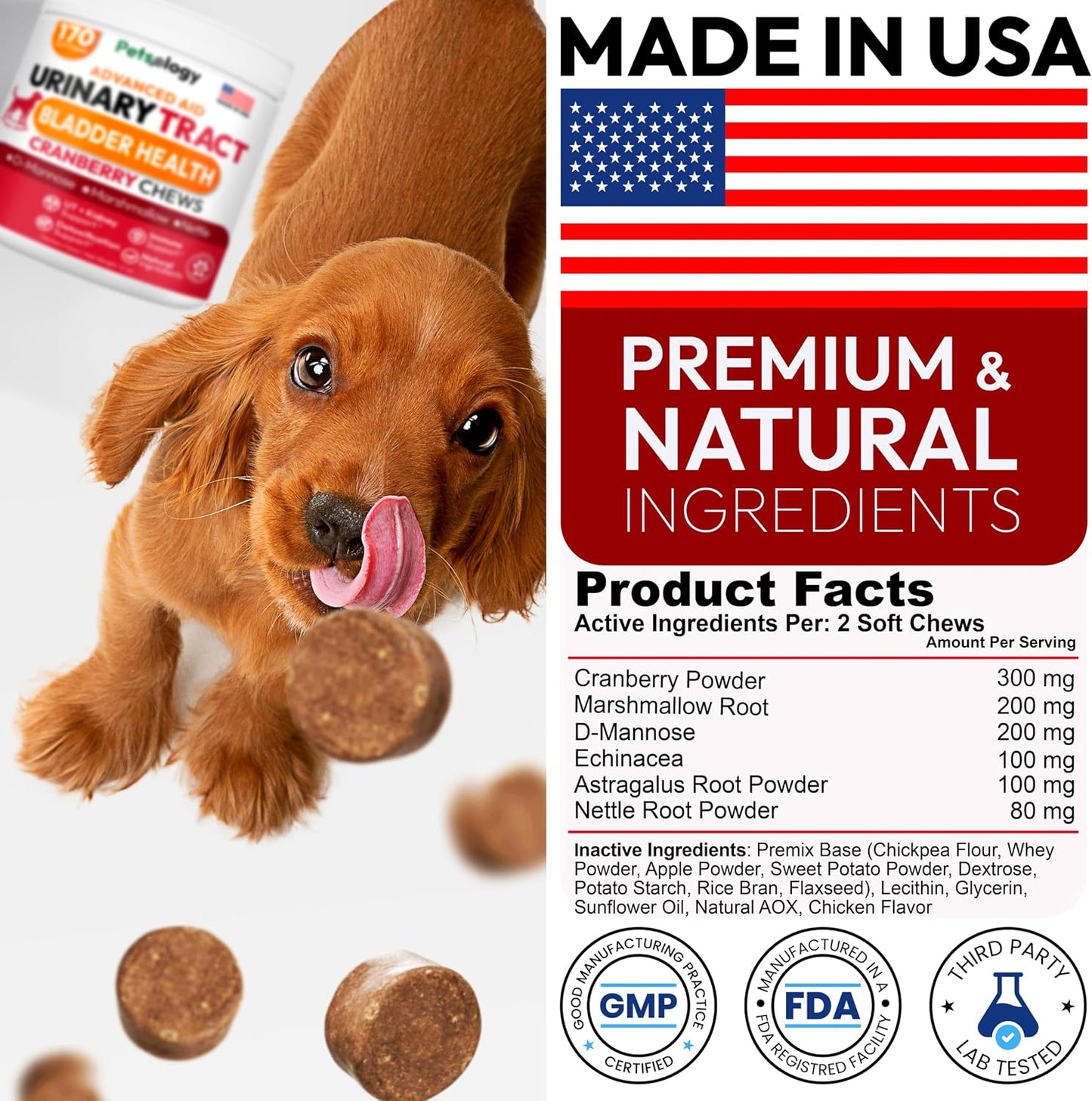 Petsology Dog UTI Treatment - 170 Cranberry Chews for Dogs - Urinary & Bladder Health Multivitamin with D-Mannose - görsel 7