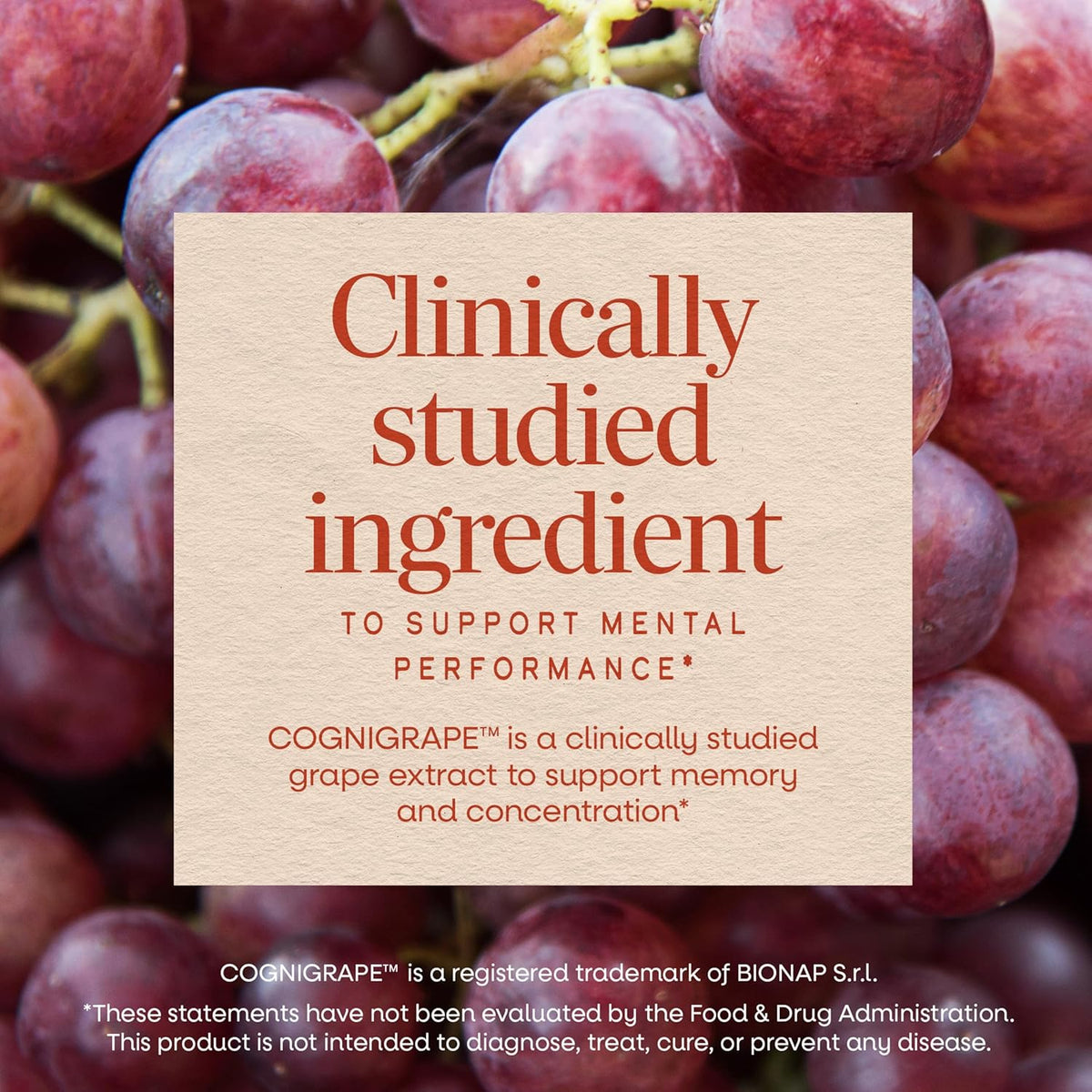 Nature's Way Brain Fuel Gummies – Cognitive Support with COGNIGRAPE and Vitamins B6 & B12 (60 Gummies) - görsel 4