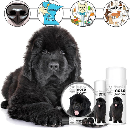 The Blissful Dog Newfoundland Unscented Nose Butter - Dog Nose Butter, 113g