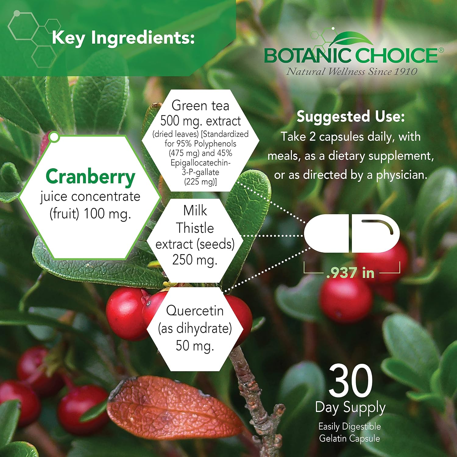 Botanic Choice Ultra Kidney Complex - Optimum Kidney Support with Milk Thistle, Green Tea and More - 60 Capsules - görsel 3
