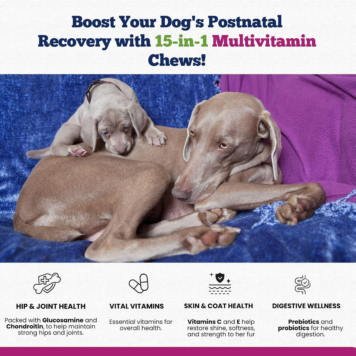 15-in-1 Postnatal Vitamins for Dogs - Recovery, Joint, Skin & Coat Support - Probiotics & Multivitamins - 120 Chewable Chicken Flavour Tablets - görsel 2