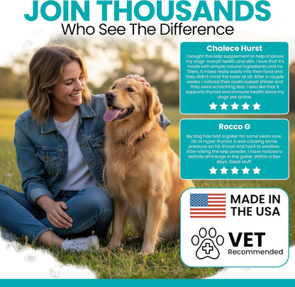 Kelp Supplement for Dogs - 16 oz Powder with Spoon - Thyroid, Dental & Skin Support - Made in the USA