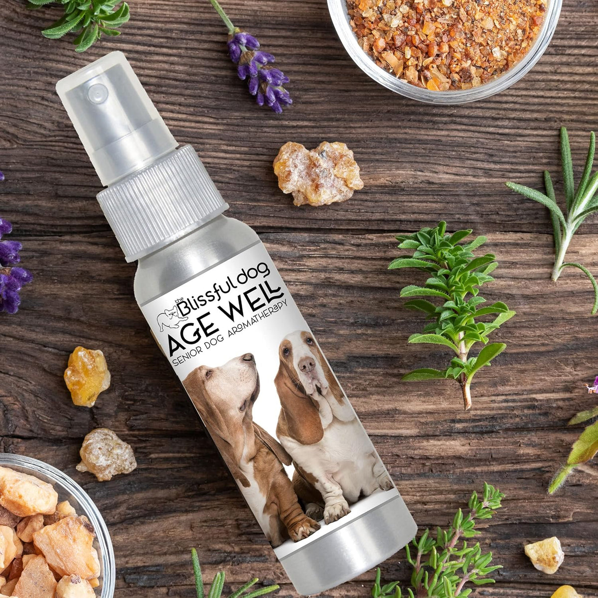 The Blissful Dog Basset Hound Age Well Spray Aromatherapy - görsel 7