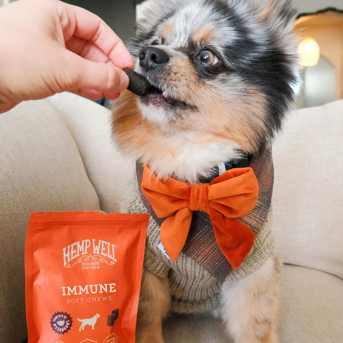 Immune Support Dog Soft Chews – Gut Health – Hemp Well - görsel 5