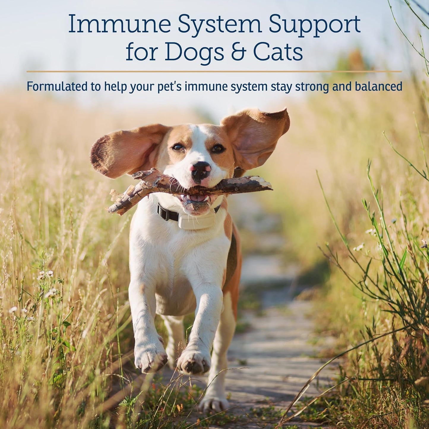 Rx Vitamins CurcuWIN - Curcumin for Dogs & Cats - Vitamins and Supplements, Allergy Relief - Provides Immune Support & Aids Digestive Support - Joint Supplement - 90ct - görsel 2